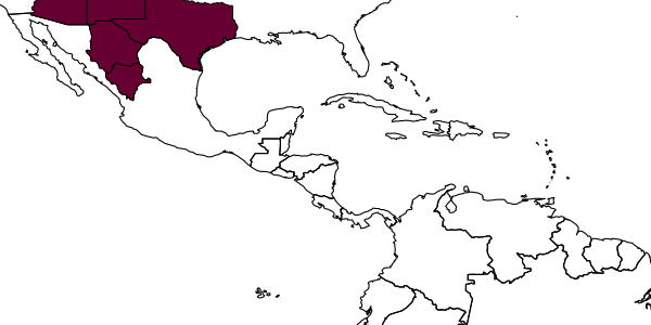 map of Crabro grisselli     Bohart, 1976
